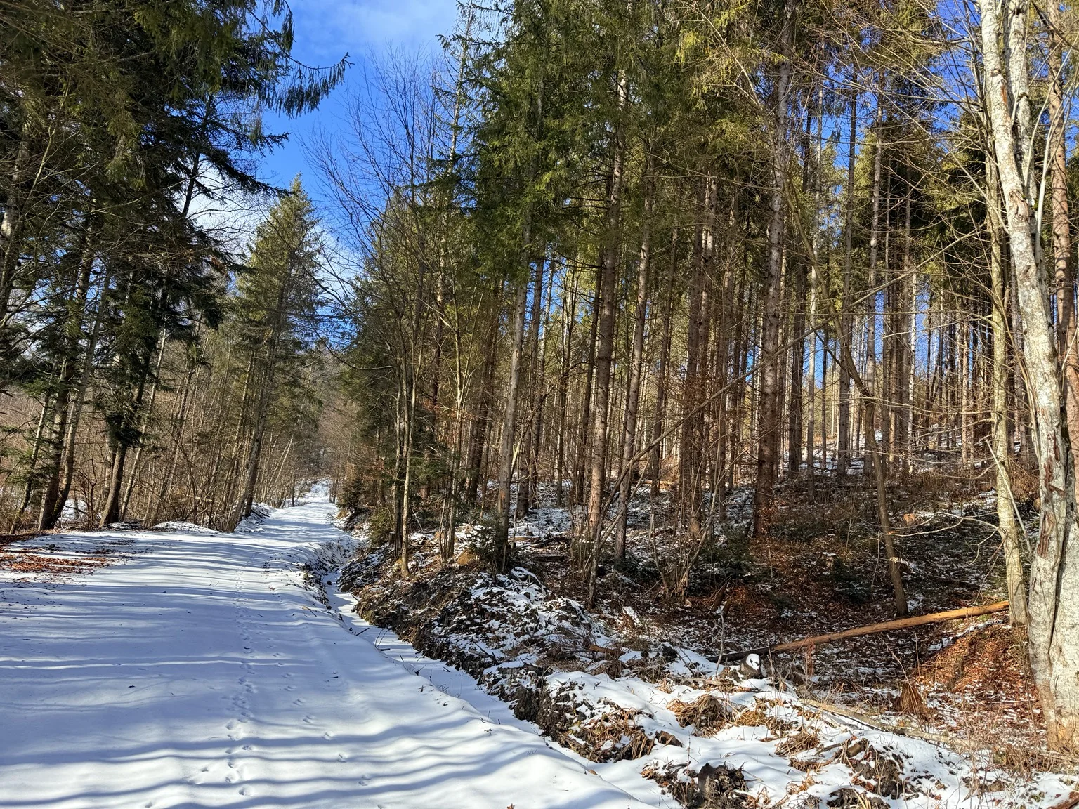 Snow-covered hills near home